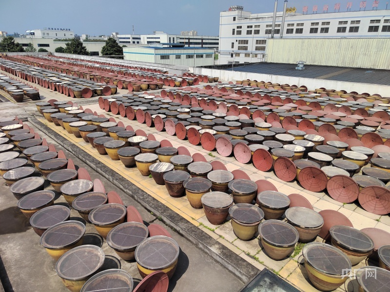 九游娱乐：【蜀里非遗】郫县豆瓣酱：时光中沉淀的馥香浓郁(图3)