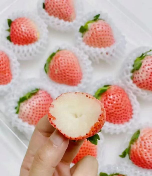 2024年第一批全国名特优新农产品公示成都10个产品上榜(图10)