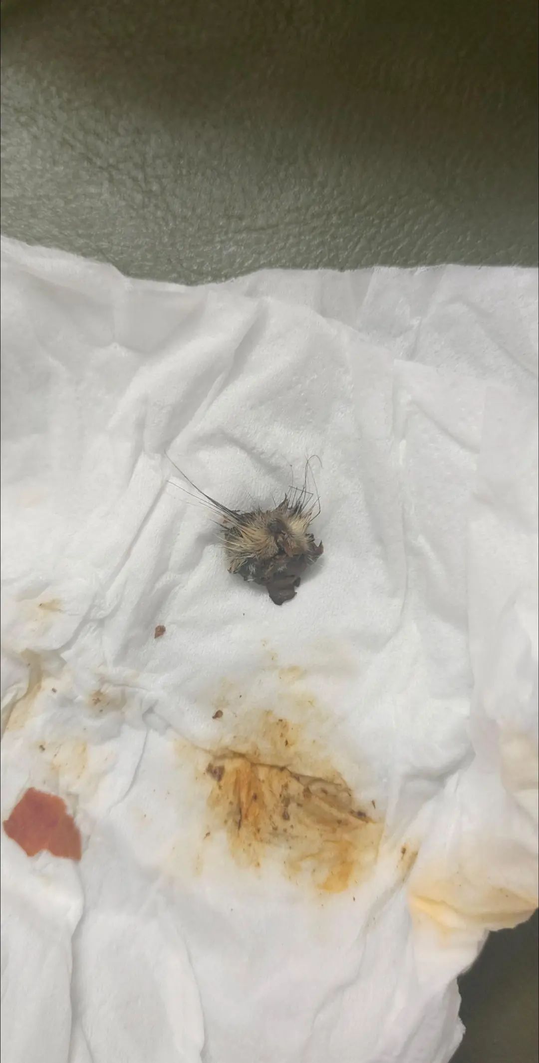 九游娱乐:豆瓣酱中疑吃出“鼠头”涉事厂家回应→(图1)