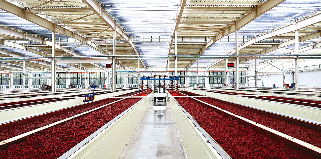 郫县豆瓣：300年光阴酿就“舌尖上的记忆”(图1)