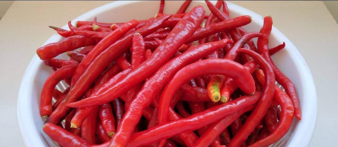 九游娱乐文化：推荐豆瓣酱的家常做法简单易学麻辣鲜香喜欢的收藏吧(图1)