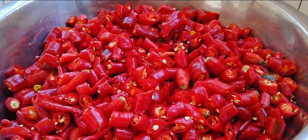 九游娱乐文化：推荐豆瓣酱的家常做法简单易学麻辣鲜香喜欢的收藏吧(图3)