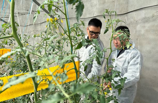 “一米八”出酱菜了他们还起了个有点东西的名字(图9)