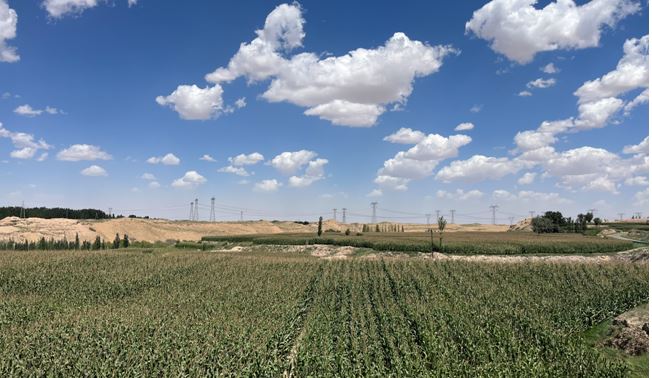 “一米八”出酱菜了他们还起了个有点东西的名字(图8)