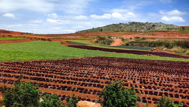 “一米八”出酱菜了他们还起了个有点东西的名字(图7)