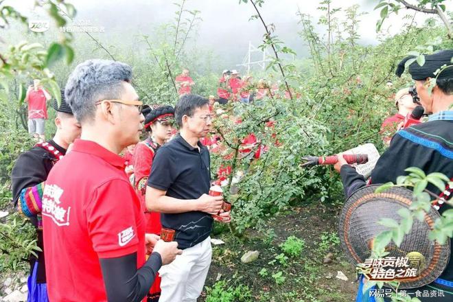 从丁点儿这场贡椒溯源之旅看到了不起的中国产业链(图9)