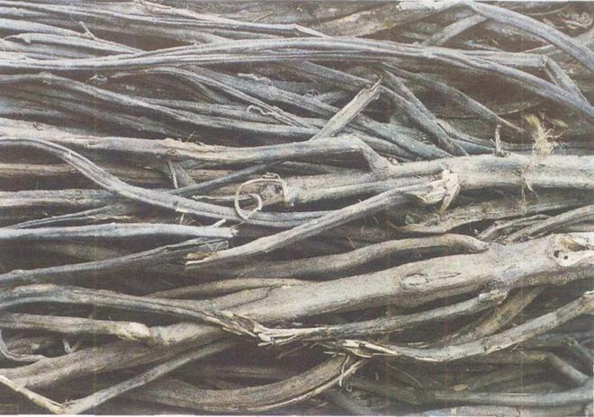 想做好川菜先认识这17种川菜常用的香辛料悟透了下一个大师就是你(图7)