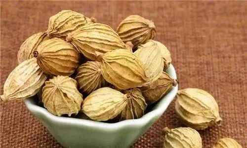 想做好川菜先认识这17种川菜常用的香辛料悟透了下一个大师就是你(图10)