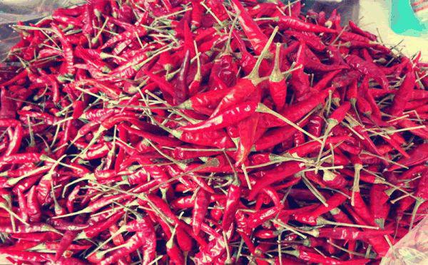 想做好川菜先认识这17种川菜常用的香辛料悟透了下一个大师就是你(图13)