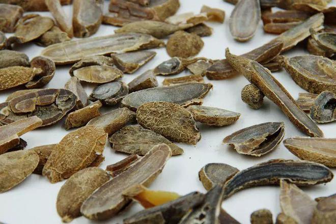 想做好川菜先认识这17种川菜常用的香辛料悟透了下一个大师就是你(图12)