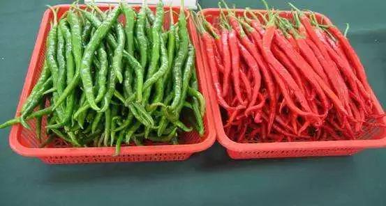 想做好川菜先认识这17种川菜常用的香辛料悟透了下一个大师就是你(图14)