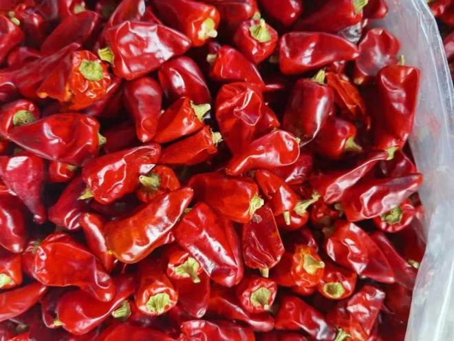 想做好川菜先认识这17种川菜常用的香辛料悟透了下一个大师就是你(图15)