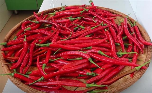 九游娱乐：做豆瓣酱的季节到了20年秘制配方告诉你做法简单一年不怕坏(图2)