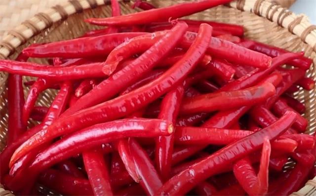 九游娱乐：做豆瓣酱的季节到了20年秘制配方告诉你做法简单一年不怕坏(图6)