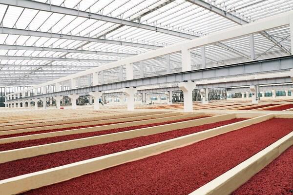 2024中食展：探秘川味之魂丹丹郫县豆瓣的匠心传承与创新之路(图2)