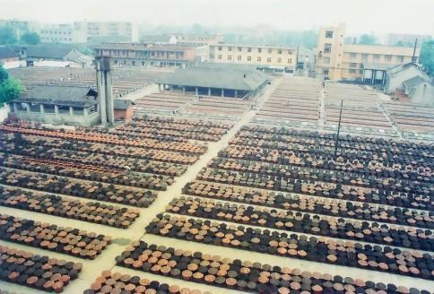 九游娱乐：品类标杆丨鹃城牌郫县豆瓣：百年老字号酱香如何重塑焕新之路？(图3)