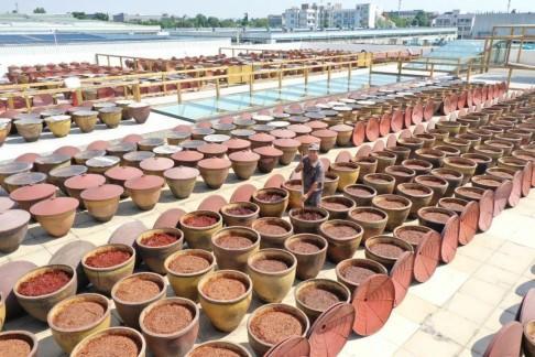 九游娱乐：品类标杆丨鹃城牌郫县豆瓣：百年老字号酱香如何重塑焕新之路？(图6)