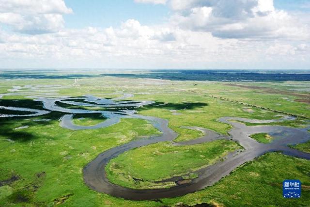 故乡的味道(图1)