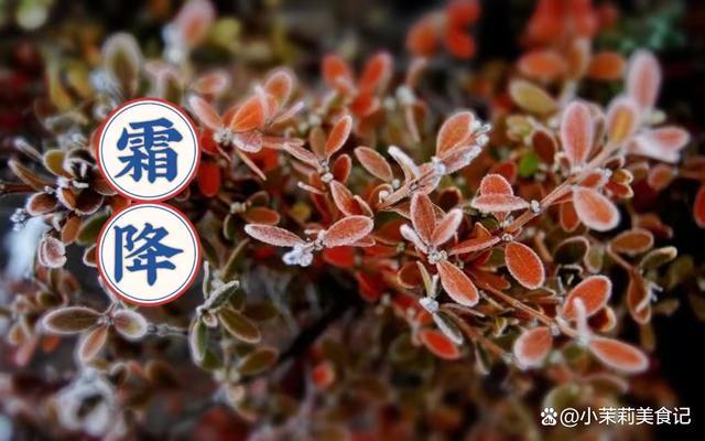 九游娱乐文化：今日霜降吃暖比穿暖更重要5道热乎菜温暖身心(图1)