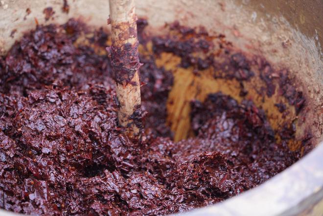 郫县豆瓣产业链为何“辣”么长？源头育种每一勺都“辣”么香(图2)