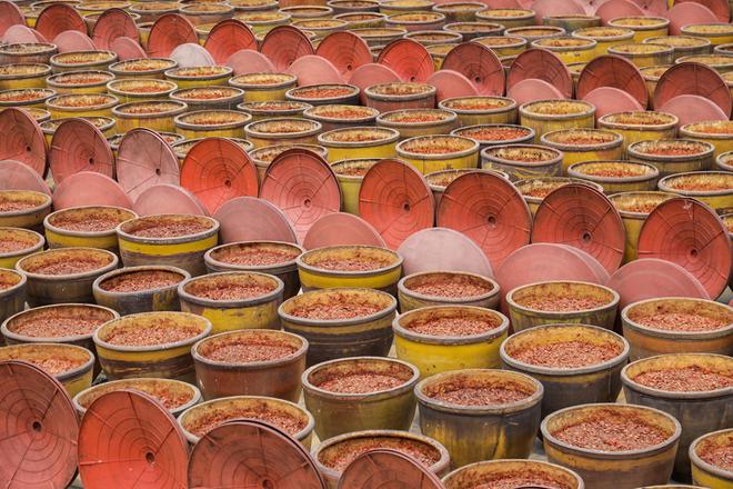 郫县豆瓣产业链为何“辣”么长？源头育种每一勺都“辣”么香(图1)