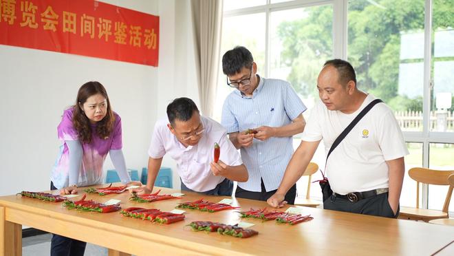 郫县豆瓣产业链为何“辣”么长？源头育种每一勺都“辣”么香(图6)