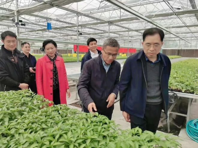 郫县豆瓣产业链为何“辣”么长？源头育种每一勺都“辣”么香(图10)