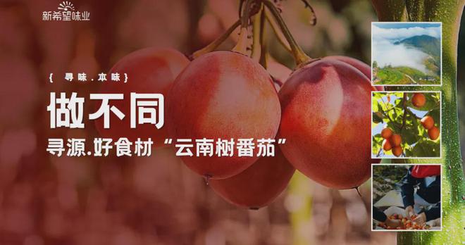 品牌如何靠番茄玩转百亿市场?(图9)