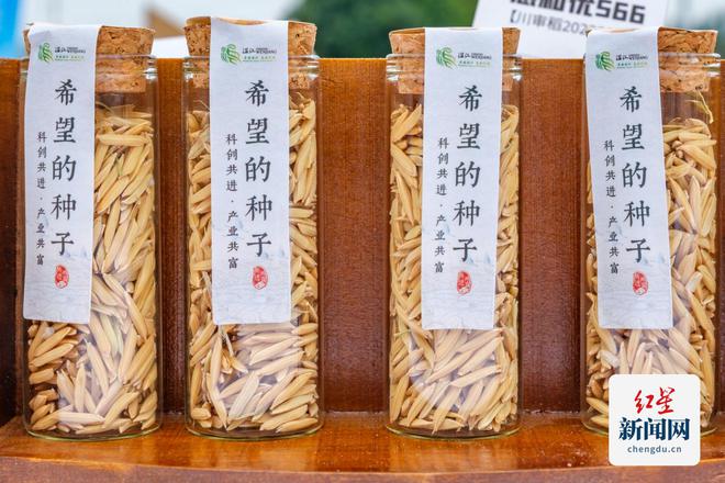 九游娱乐文化:“温江智慧”擦亮农业金字招牌(图2)