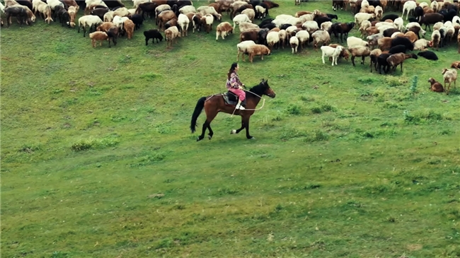 九游娱乐文化:暂别肉食江湖《江湖菜馆》第五季圆满收官(图4)