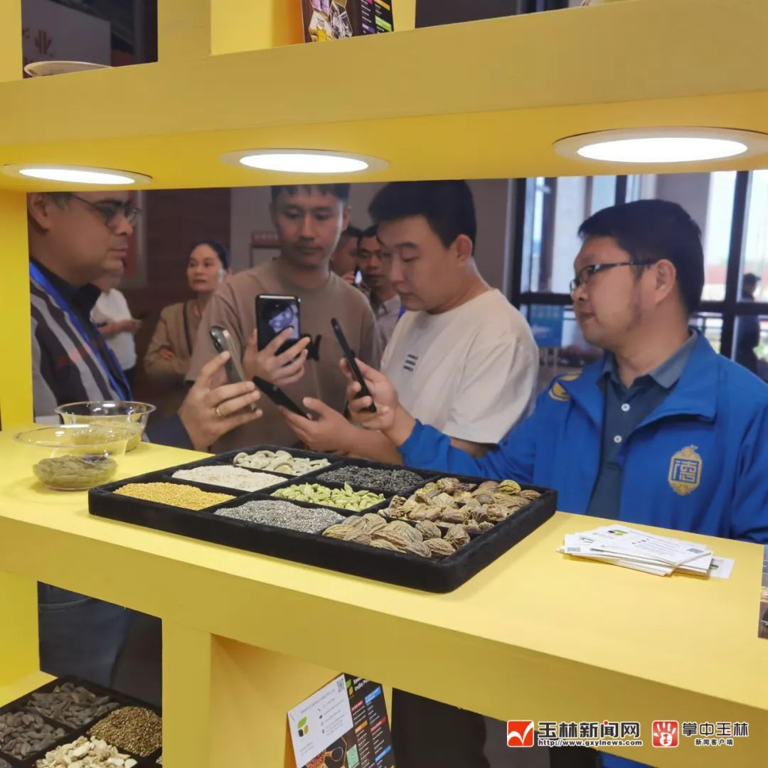 火出圈！香博会上有哪些“显眼包”？(图3)