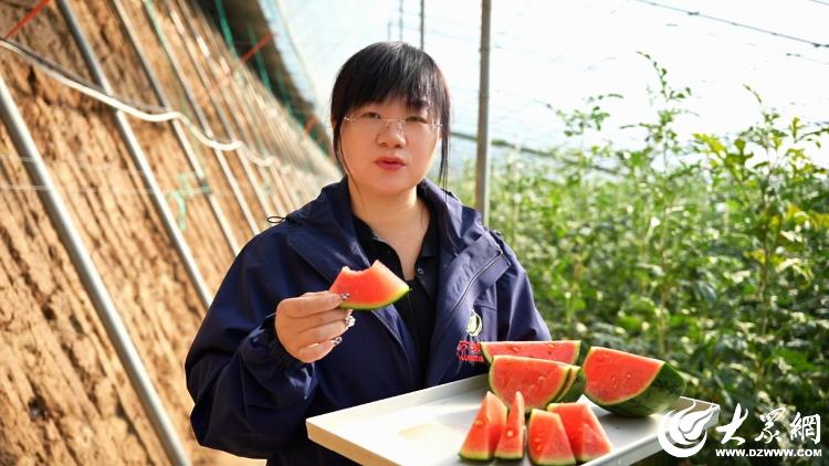 潍有双百双千坊显振兴力量丨农业园区奏响“增收曲”(图3)