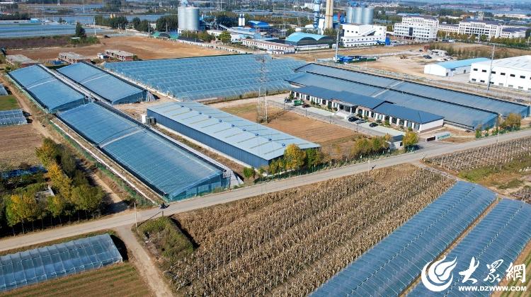 潍有双百双千坊显振兴力量丨农业园区奏响“增收曲”(图7)