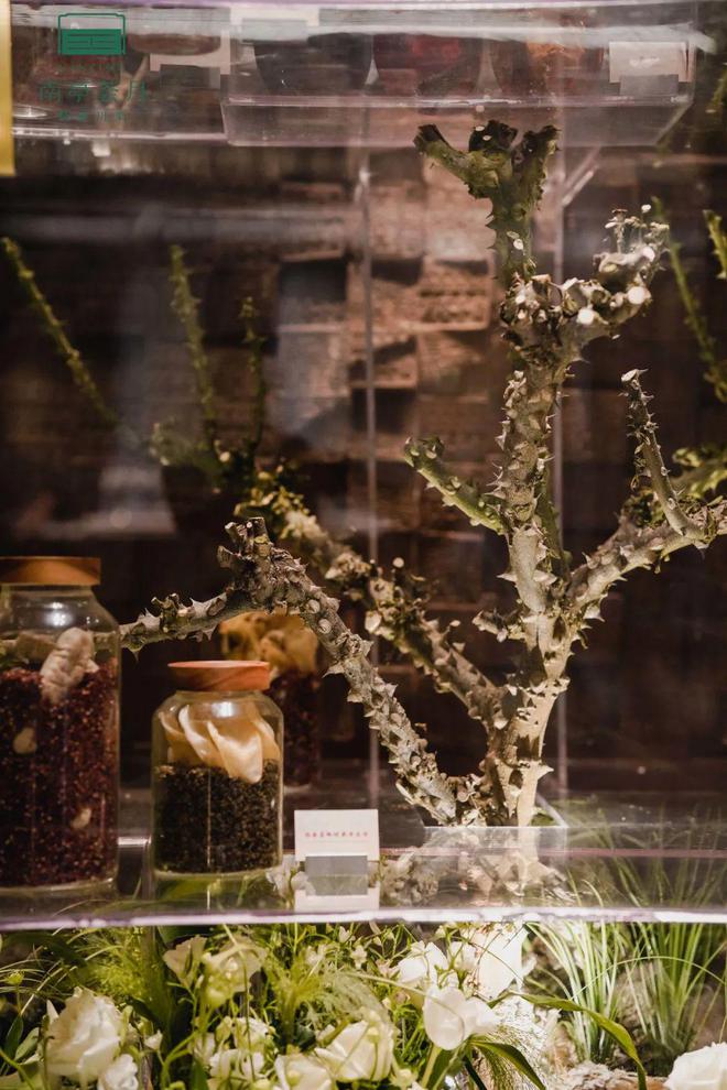 会吃｜从传统到当代南堂馆用“三椒五味”讲述川菜新故事。(图11)