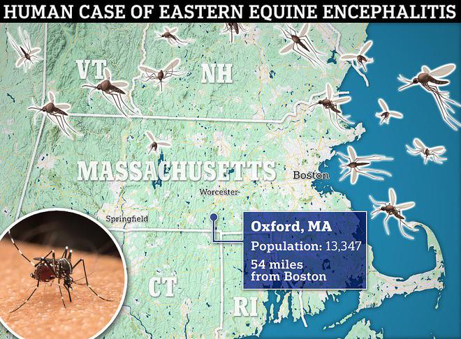 致命病毒肆虐美国第三个州或推居家令(图8)