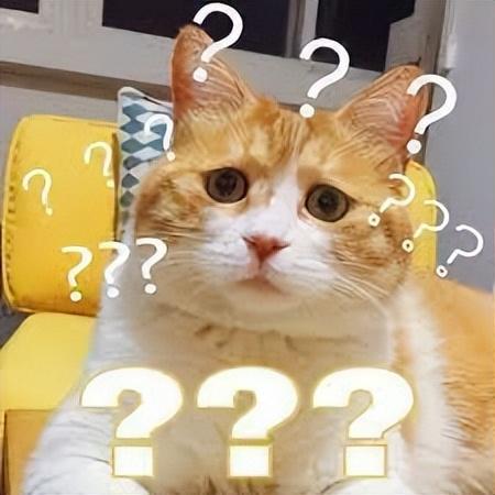 鱼香肉丝、素椒杂酱那些名不对货让人大呼被骗的川菜（一）(图11)