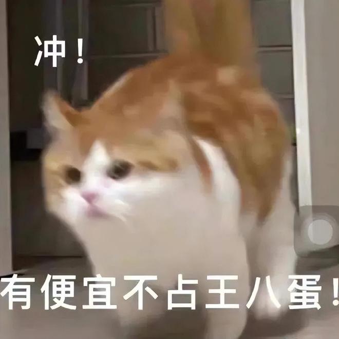 鱼香肉丝、素椒杂酱那些名不对货让人大呼被骗的川菜（一）(图14)