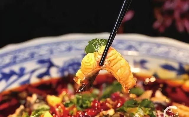 重庆⇌成都50分钟!又近一步(图4)