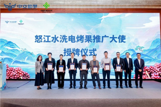 全国80%草果产自怒江怒江草果来成都推介(图4)