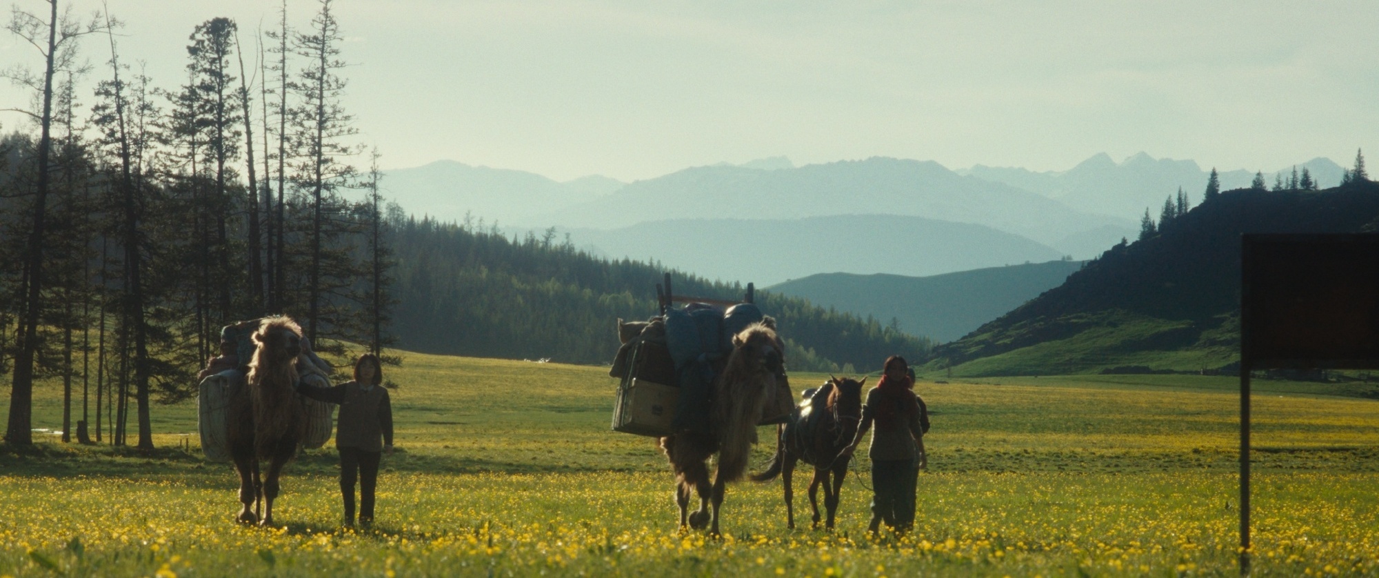 九游娱乐:2024年豆瓣评分第一剧集“后劲大”困在职场里的打工人在《我的阿勒泰》找答案(图1)