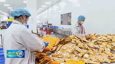 阳西：推动调味品产业改革创新探索食品工业培育试点县发展之路(图1)