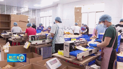 阳西：推动调味品产业改革创新探索食品工业培育试点县发展之路(图3)