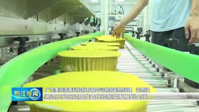 阳西：推动调味品产业改革创新探索食品工业培育试点县发展之路(图4)