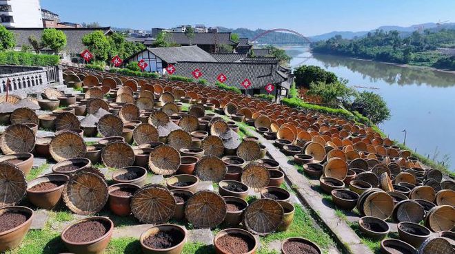 九游娱乐文化：泸州：让舌尖上的产业更有“滋味”(图1)