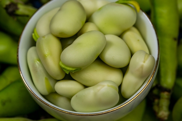 豆瓣酱的功效与作用、禁忌和食用方法(图2)