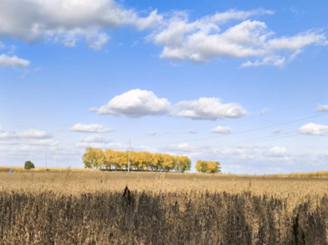 以一颗小小黄豆为起点见证海天酱油酿造百年工艺与绿色发展(图1)