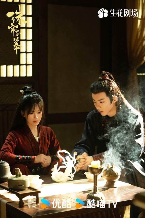 2024Netflix豆瓣评分TOP10！《玫瑰的故事》74分《永夜星河(图1)