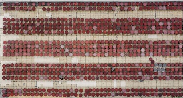 走向国际市场的“小调料”“味”来可期(图1)