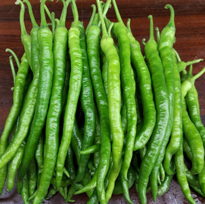 九游娱乐：川菜中常用的几种辣椒介绍(图1)