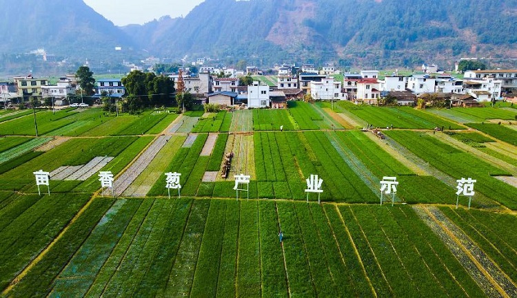 九游娱乐文化:乐山味道·食品饮料产业园推动乐山美食走向全国(图3)